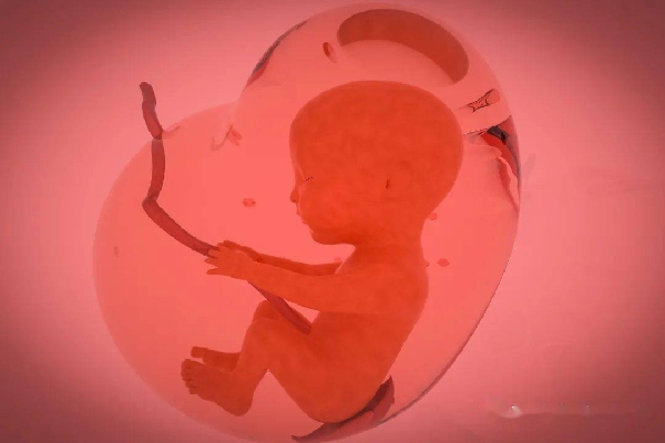 2024年佛山省妇幼供卵试管成功率能有多高
