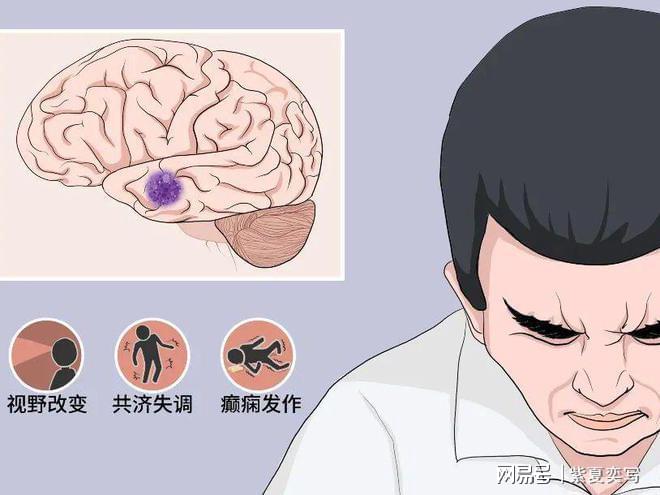 +十周年,供卵试管费用技术支撑了多少失独家庭