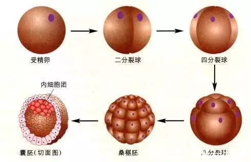 佛山海军总医院生殖科怎么样